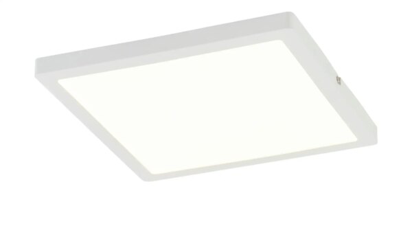 LED-Panel weiß matt eckig`groß` - weiß - Maße (cm): B: 30